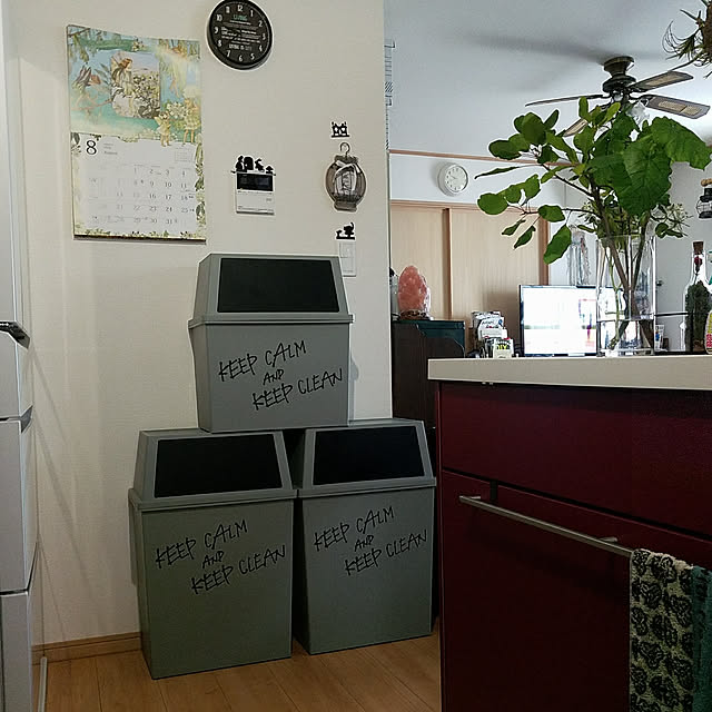 ゴミ箱 キッチン おしゃれ リビング インテリア雑貨 北欧 シンプル 縦型 フロントオープン デザイナーズ ごみ箱 キッチン ゴミ袋 見えない キャスター付き 分別 薄型 横型 30リットル 大容量 大型 大きい 積み重ねる スタッキングダストボックス 30l ワイド スリム の