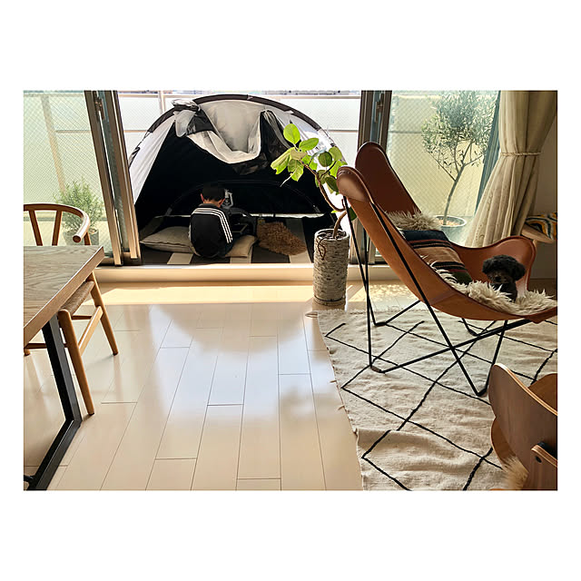 ロゴスコーポレーション ロゴス ソーラーブロック フルパラシェード キャンプ サンシェードテント Logosのレビュー 口コミとして参考になる投稿1枚 Roomclip ルームクリップ