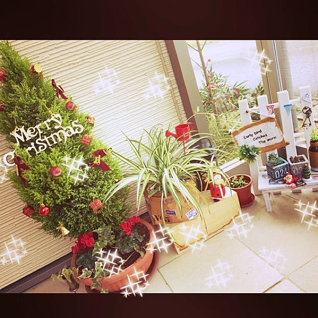玄関/入り口/ゴールドクレスト/クリスマスツリー/アイビー/シクラメン&hellip;などのインテリア実例 20161214 130751