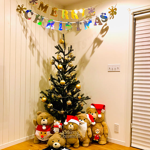 【写真付きレビュー】IKEA (イケア) IKEA/イケア VINTER 2020/ヴィンテル 2020：アートプラント 室内/屋外用170