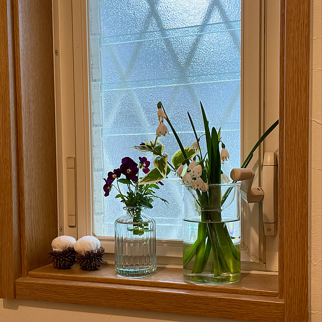 球根の水栽容器や切花の鑑賞に Bulb Vase Short ヒヤシンス水栽培用容器 のレビュー クチコミとして参考になる投稿8枚 Roomclipショッピング