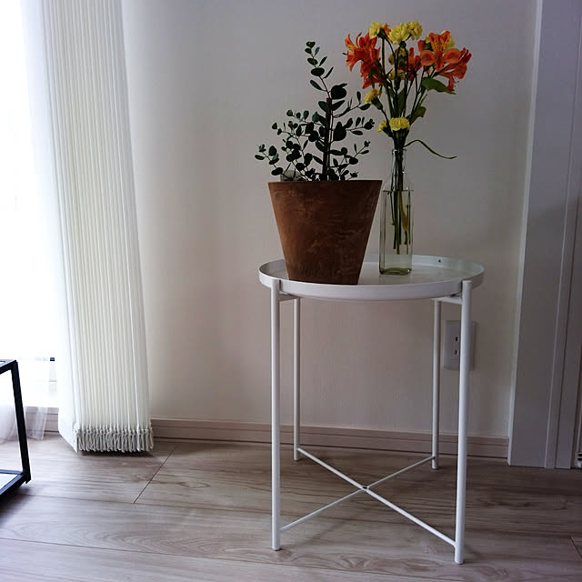 写真付きレビュー ユーカリ リトルハート ウェブステリアナ の通販商品 口コミ情報 Roomclipショッピング 写真付きレビュー ユーカリ リトルハート ウェブステリアナ の通販商品 口コミ情報 Roomclipショッピング