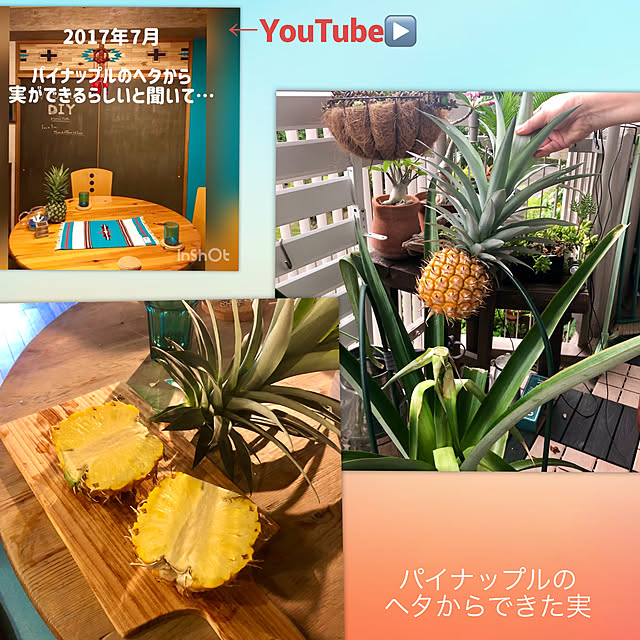 ウッドタイル 天然木 Diy 壁材 ウッドパネル レンガ調 フラットデザイン 1平米 100枚入 セット 国産杉使用のレビュー クチコミとして参考になる投稿300枚 Roomclip Item