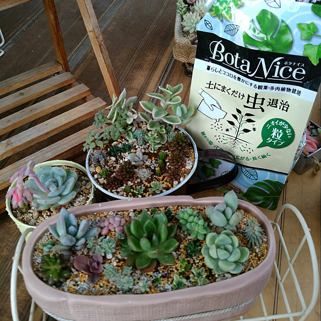 園芸用品 殺虫剤 害虫対策 観葉植物 アブラムシ 駆除 対策 Botanice 土にまくだけ虫退治 280g 1個 アース製薬のレビュー クチコミとして参考になる投稿186枚