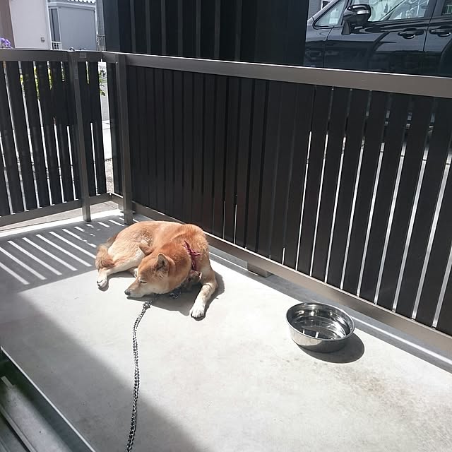 写真付きレビュー フェンス ジオーナ フェンス B4型 マテリアルカラータイプ 高さ800mm 縦格子フェンス フェンスのみ Lixil Toexの通販商品 口コミ情報 Roomclipショッピング 写真付きレビュー フェンス ジオーナ フェンス B4型 マテリアルカラータイプ 高さ800mm 縦格子フェンス フェンスのみ Lixil Toexの通販商品 口コミ情報 Roomclipショッピング