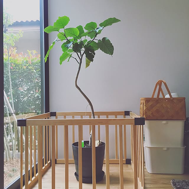 送料無料 Bruno ブルーノ クーラー ピクニック バスケット Bhk042 クーラーバスケット クーラーバッグ クーラーボックス 保冷 バッグ 折りたたみ 大容量 北欧 テイスト おしゃれ 保冷バッグ かわいい アウトドア クーラーボックス レディース 新生活 運動会 お花見 の