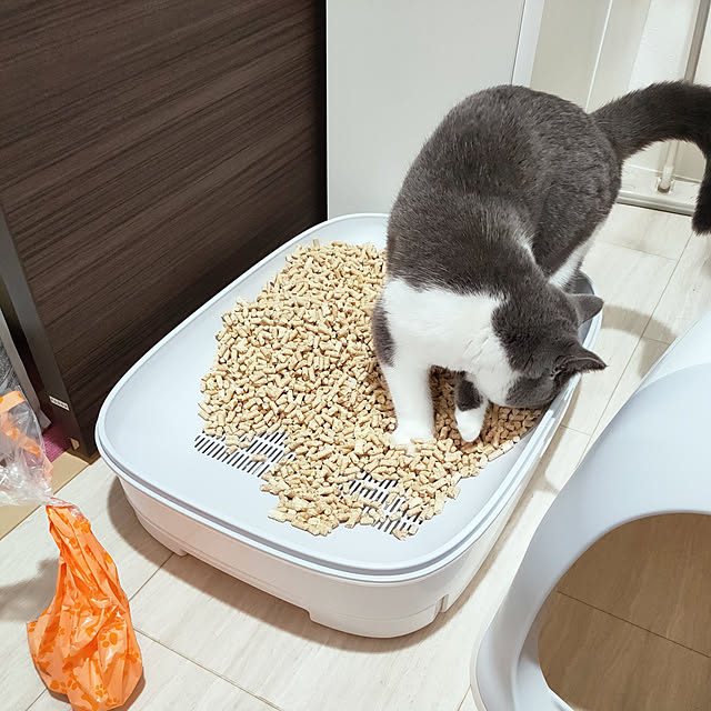 写真付きレビュー 臭わない袋 防臭袋 においバイバイ袋 ペット うんち処理用 Mサイズ 180枚 送料無料 におわない袋 ゴミ袋 犬 猫 うんち におい 対策 消臭袋 マナー袋 商品到着後 レビュー書いて次回使えるクーポンプレゼント の通販商品 口コミ情報 Roomclip