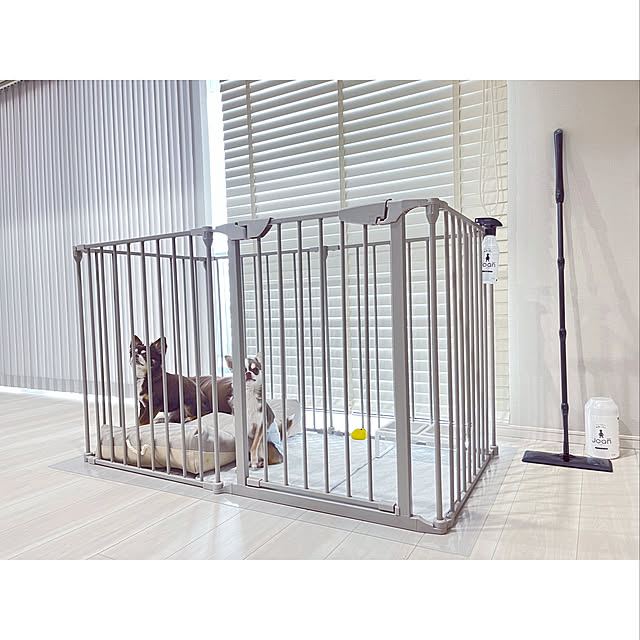 Citydog ケージ ゲージ サークル 大型犬 ペットサークル ペット アイアン フェンスケージ 小型 中型犬用 多頭飼い おしゃれ 犬サークル 犬 ケージ 中型犬 シンプル シティドッグ シティードッグのレビュー クチコミとして参考になる投稿10枚