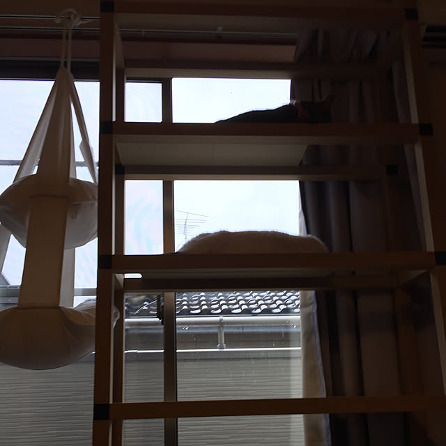 ニャンダフルシェルフminiクラフト 猫 ネコ ねこ キャット タワー ハウス 猫用遊具 ストレス解消 運動不足解消のレビュー クチコミとして参考になる投稿2枚 Roomclip ルームクリップ ニャンダフルシェルフminiクラフト 猫 ネコ ねこ キャット タワー ハウス 猫用遊具 ストレス解消 運動不足解消のレビュー クチコミとして参考になる投稿2枚 Roomclip ルームクリップ