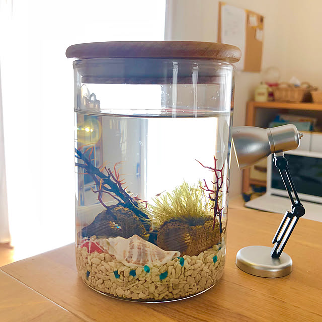 写真付きレビュー Jun プラチナリーフサンド No 5 中目タイプ 1kg 海水魚 底砂 サンゴ砂 関東当日便の通販商品 口コミ情報 Roomclipショッピング