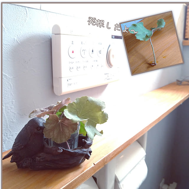 ペンキ 水性塗料 Diy Roombloom Matte Midnight Sun 1kg 青 ブルー 日本ペイント 水性ペンキ 水性 塗料 室内 壁 壁紙 室内用 ペイント 壁塗料 屋内 青色 塗料缶 塗装 ニッペ 模様替え 天井 室内塗料 つや消し 水性ペイント リフォーム