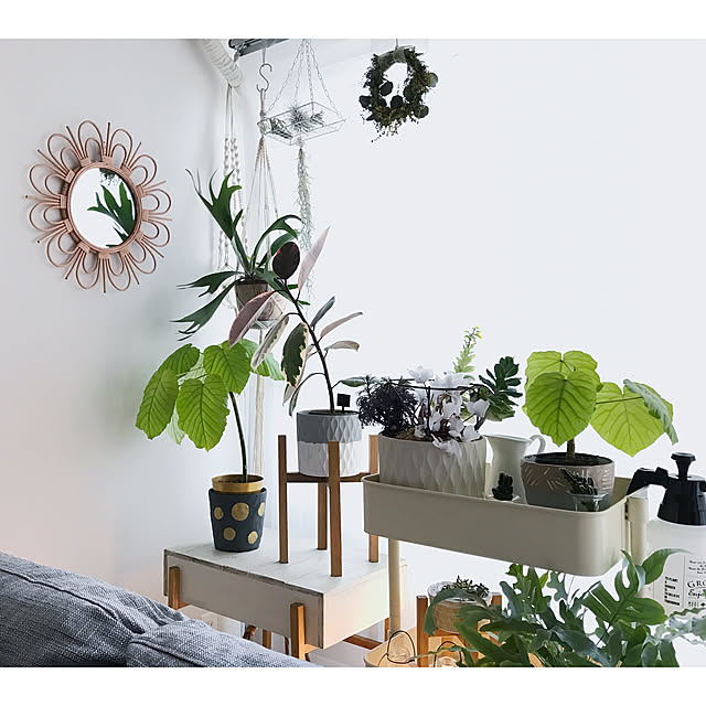 ガーデン圧縮式スプレー ブラック レッド Enjoy Up To You 霧吹き スプレー 霧吹き キリフキ アンティーク風 観葉植物 ガーデニング グラススプレー インテリア雑貨のレビュー クチコミとして参考になる投稿40枚 Roomclip Item ガーデン圧縮式スプレー ブラック レッド Enjoy Up To You 霧吹き スプレー 霧吹き キリフキ アンティーク風 観葉植物 ガーデニング グラススプレー インテリア雑貨のレビュー クチコミとして参考になる投稿40枚 Roomclip Item
