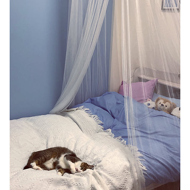 送料無料イケアikea Bryne ベッドキャノピー ネット ホワイトお姫様天蓋ベッドロマンティックのレビュー クチコミとして参考になる投稿8枚 Roomclip ルームクリップ
