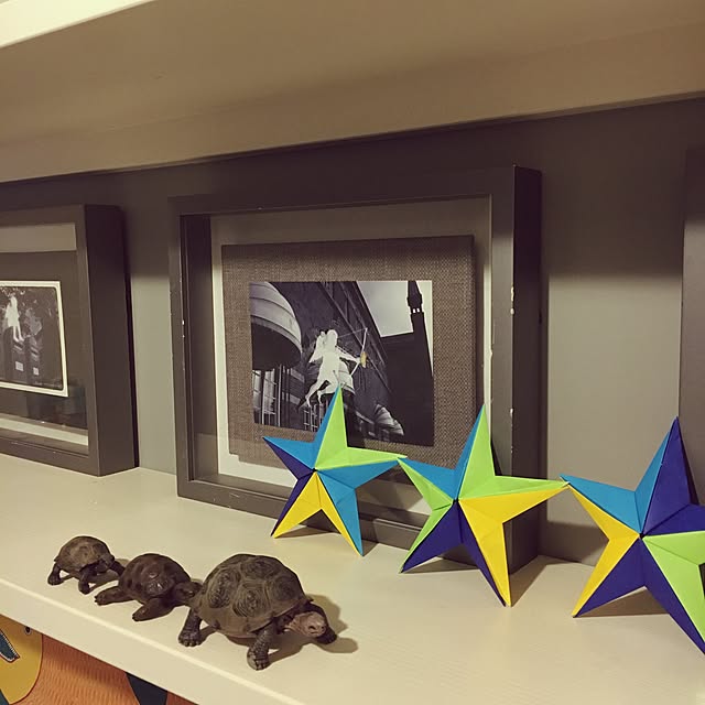 おすすめ シュライヒ ワイルドライフ フィギュア ゾウガメ その他フィギュア Imizu Weblike Jp おすすめ シュライヒ ワイルドライフ フィギュア ゾウガメ その他フィギュア Imizu Weblike Jp