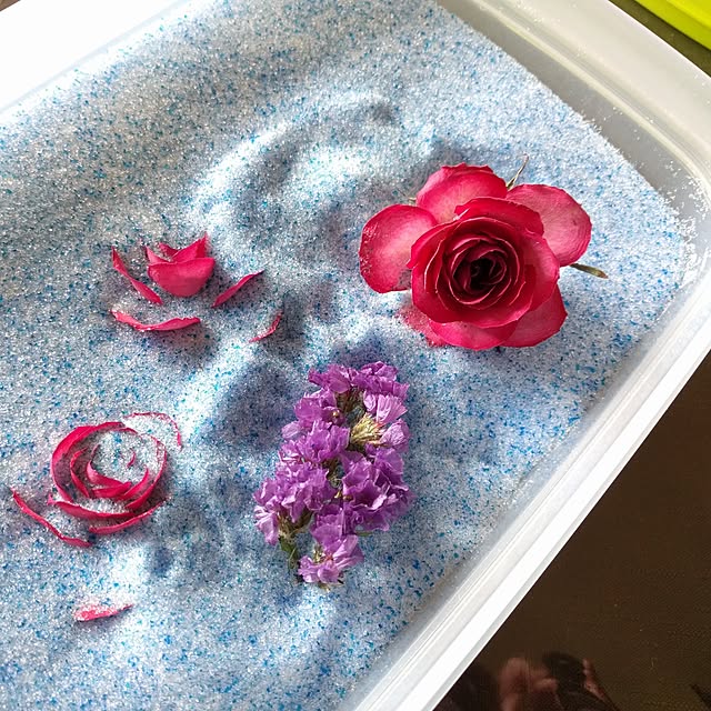 花の保存用乾燥剤 シリカゲル 1袋 ガラスケース ドライフラワー用シリカゲル 送料 花の保存用乾燥剤 シリカゲル 1袋 ガラスケース ドライフラワー用シリカゲル 送料