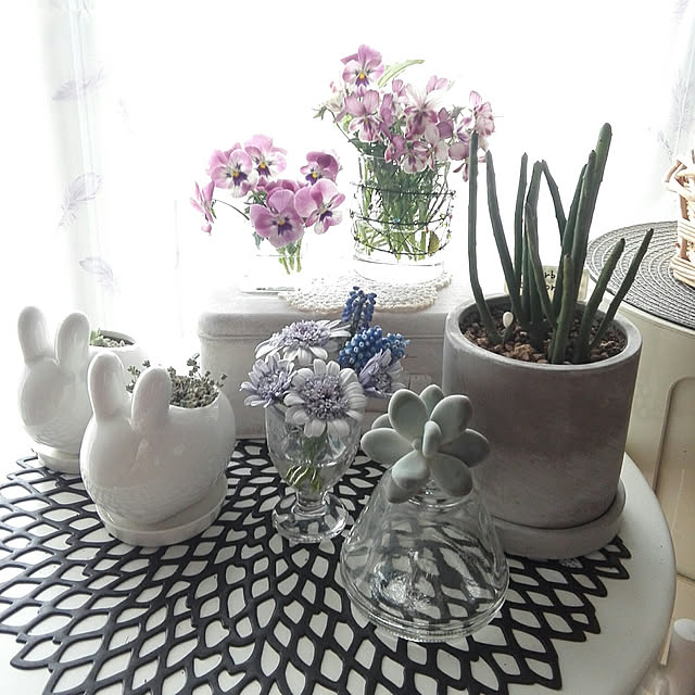 写真付きレビュー】T4U 5cm ミニ陶器鉢 植木鉢 多肉植物鉢 サボテン鉢 セラミックトレイ付き ミニ観葉植物適用 ウサギの通販商品口コミ情報 | RoomClipショッピング 写真付きレビュー】T4U 5cm ミニ陶器鉢 植木鉢 多肉植物鉢 サボテン鉢 セラミックトレイ付き ミニ観葉植物適用 ウサギの通販商品口コミ情報 | RoomClipショッピング