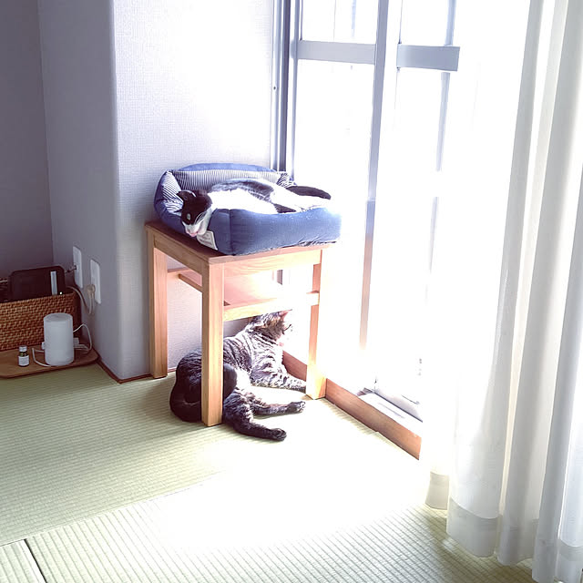 無印良品 Wi Fiルーター のまとめページ Roomclip ルームクリップ