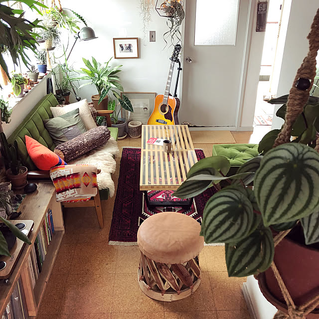 植木鉢 おしゃれ マンゴーウッドポット St9712 180 6号 18cm 鉢カバー 天然木のレビュー クチコミとして参考になる投稿16枚 Roomclip ルームクリップ