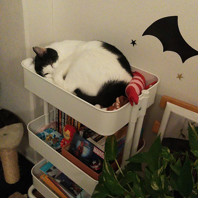 ペティオ Petio 猫用おもちゃ けりぐるみ エビのレビュー クチコミとして参考になる投稿15枚