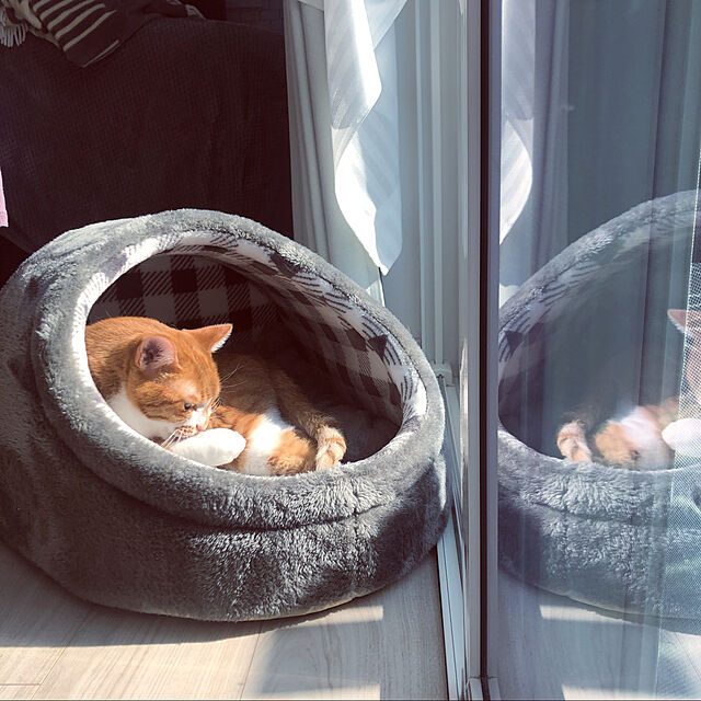 ドーム型 ペットベッド 犬 猫 ベッド 冬 おしゃれ ハウス 暖かい ペット ふわふわ ボア 犬用ベッド ネコベッド ドームベッド Mサイズのレビュー・クチコミとして参考になる投稿2枚  | RoomClipショッピング