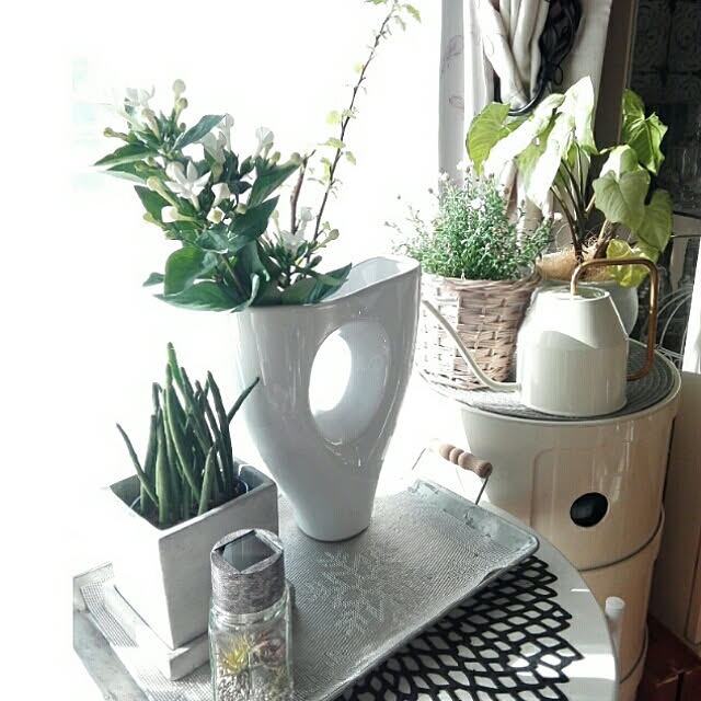 観葉植物 植物のある暮らし Ikea Ikeaの水差し ユーフォルビア などのインテリア実例 03 16 13 19 Roomclip ルームクリップ 観葉植物 植物のある暮らし Ikea Ikeaの水差し ユーフォルビア などのインテリア実例 03 16 13 19 Roomclip ルームクリップ