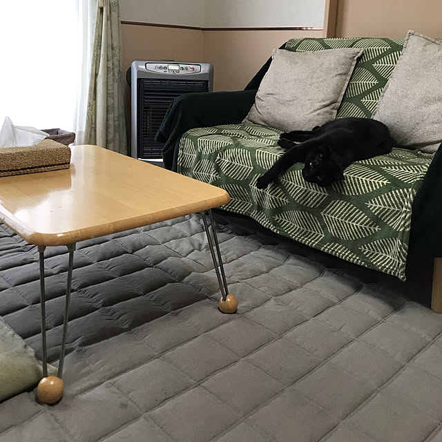 無印良品 再生ペットのポリエステル使い片面フリースひざ掛け グリーン ７０ １１０ｃｍ グリーンのレビュー 口コミとして参考になる投稿3枚 Roomclip ルームクリップ