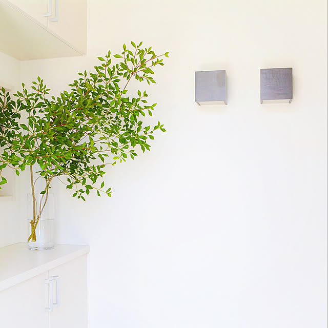 生花 ドウダンツツジ 枝物 1m程度 5本 届日限定 7 22以降のレビュー クチコミとして参考になる投稿138枚 Roomclip ルームクリップ