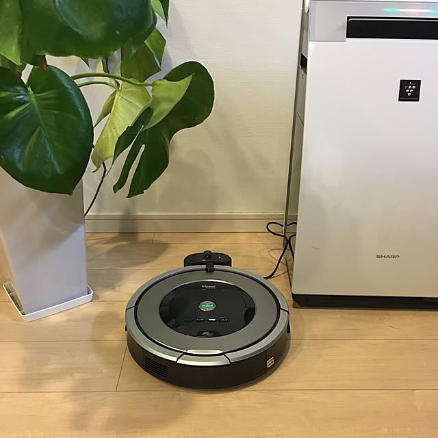 写真付きレビュー】iRobot iROBOT ロボット掃除機 ルンバ876 マットシルバー R876060の通販商品口コミ情報 |  RoomClipショッピング