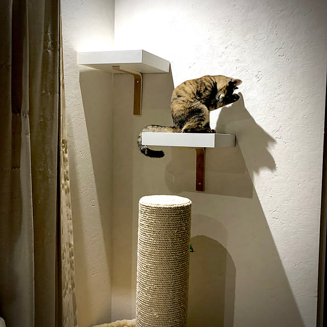 写真付きレビュー】【楽天1位】爪とぎ 猫 極太 ポール ハンモック 付き 直径 20cm 高さ 122cm 幅 77cm 選べる 麻 綿 縄巻き ねこ つめとぎ ネコ 爪とぎポール 爪研ぎ 爪みがき キャットツリー ミニ 据え置き 猫タワー 猫用品 ペット用 おもちゃ お手入れ 1年保証 ☆[送料 ... 写真付きレビュー】【楽天1位】爪とぎ 猫 極太 ポール ハンモック 付き 直径 20cm 高さ 122cm 幅 77cm 選べる 麻 綿 縄巻き ねこ つめとぎ ネコ 爪とぎポール 爪研ぎ 爪みがき キャットツリー ミニ 据え置き 猫タワー 猫用品 ペット用 おもちゃ お手入れ 1年保証 ☆[送料 ...