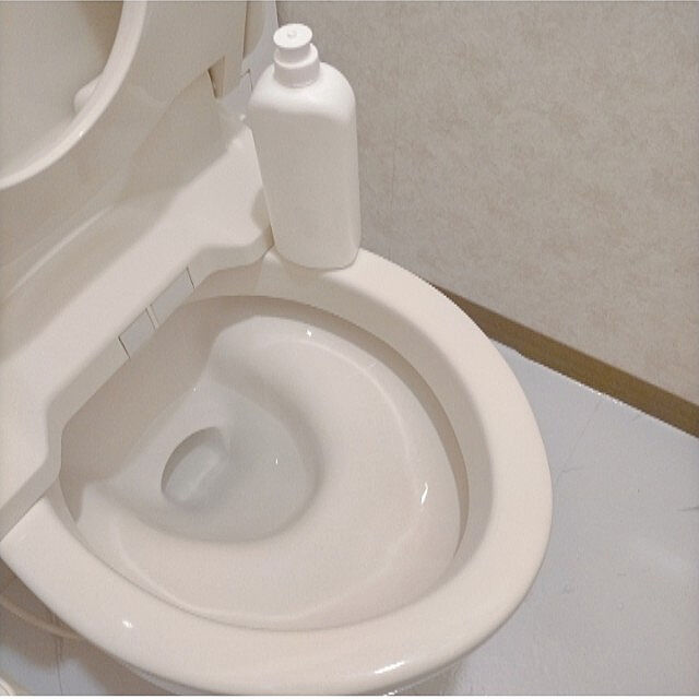 超歓迎された 大日本除蟲菊 サンポール トイレ洗剤 尿石除去 塩酸9 5 ５００ｍｌ Discoversvg Com