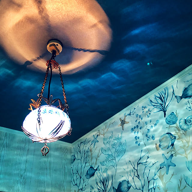 Walpa 輸入壁紙 フレンチブルーのまとめページ Roomclip ルームクリップ