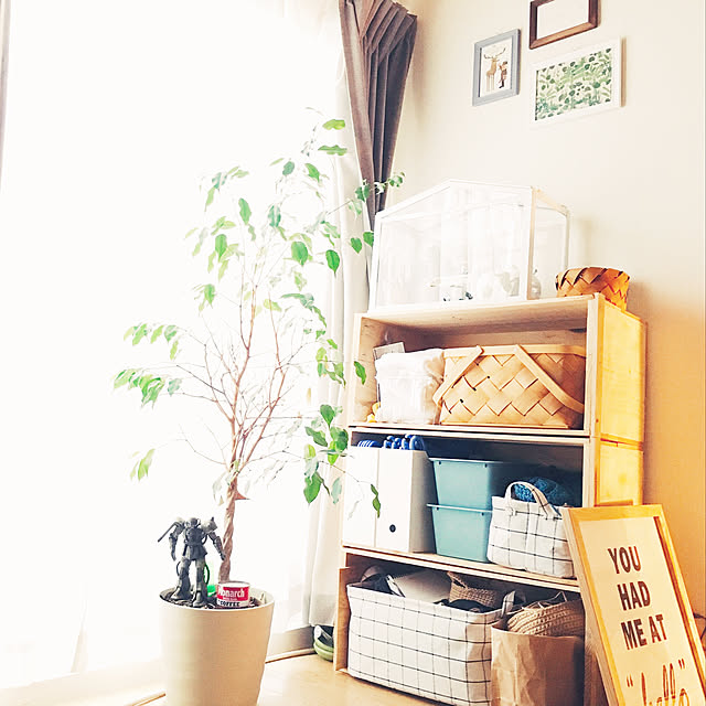 ベンジャミン トピアリー 白色 丸型 陶器鉢 キングハロー トピアリー仕立て スタンダード仕立て ボール ベンジャミナ ゴム ゴムの木 敬老の日 ポイント消化 観葉植物 送料無料のレビュー クチコミとして参考になる投稿2枚 Roomclip ルームクリップ