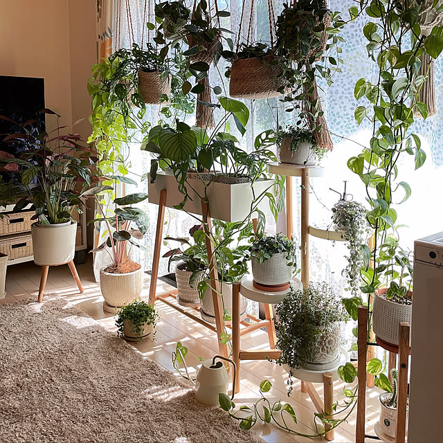 写真付きレビュー】プランタースタンド プランター スタンド プランターボックス ラック 長方形 観葉植物 植物 フェイクグリーン 収納 雑貨 ナチュラル 北欧 かわいい 天然木 木製 室内 室外 玄関 ガーデニング ホワイト グリーン シンプル おしゃれの通販商品口コミ情報 ... 写真付きレビュー】プランタースタンド プランター スタンド プランターボックス ラック 長方形 観葉植物 植物 フェイクグリーン 収納 雑貨 ナチュラル 北欧 かわいい 天然木 木製 室内 室外 玄関 ガーデニング ホワイト グリーン シンプル おしゃれの通販商品口コミ情報 ...