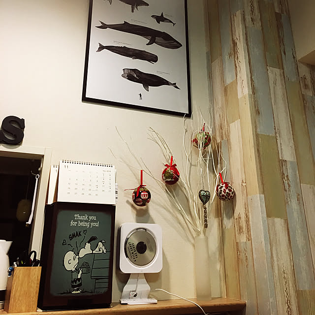 Viflykoo Jp Viflykoo Dvd Cdプレーヤー 新型 置き 壁掛け式 Dvdプレーヤー Hdmi対応 Mp3対応 1台多役 Bluetooth Usb対応 プルースイッチ式 ステレオ音楽システム 防塵カバー付き 日本語説明書付きのレビュー 口コミとして参考になる投稿4枚 Roomclip ルームクリップ