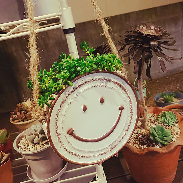 ケー イー アイ スマイルフェイス缶 4284 植木鉢 ポット ガーデン雑貨 おしゃれ かわいい ジャンク インテリア 多肉 観葉植物用 のレビュー 口コミとして参考になる投稿6枚