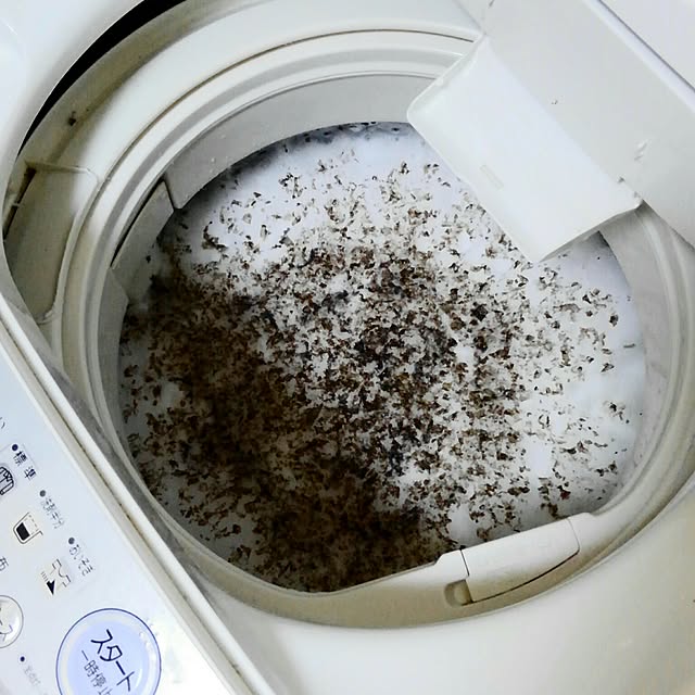 洗たく槽クリーナー 500g Spts12 シャボン玉石けん のレビュー クチコミとして参考になる投稿7枚 Roomclip Item