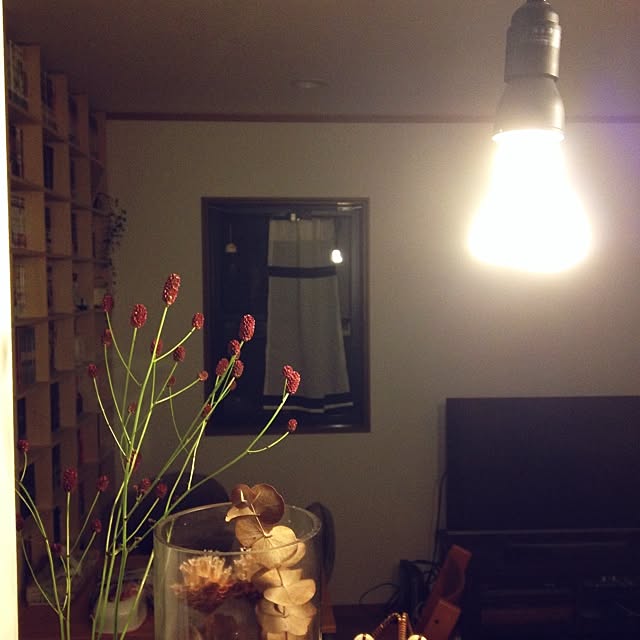 Line Me Basic ライン ミー ベーシック 照明用電源ケーブル 引っ掛けシーリングタイプのレビュー クチコミとして参考になる投稿枚 Roomclip ルームクリップ