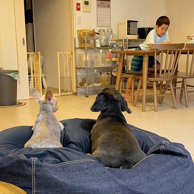 Ikea Knodd イケア ふた付き容器 グレー 40l 503 153 14 ブリキ ゴミ箱のレビュー クチコミとして参考になる投稿17枚 Roomclip ルームクリップ