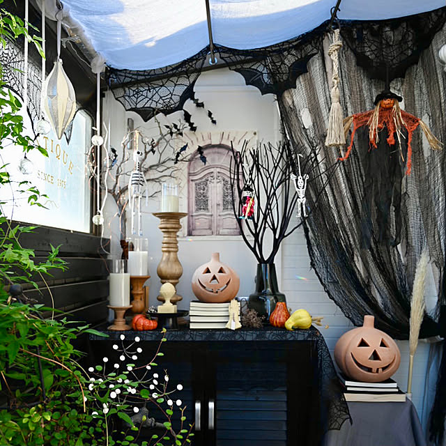 写真付きレビュー Jis メール便対応 ハロウィン 飾り レース B Sサイズ 244cm 45cm ウォールステッカー 壁紙 ハロウィン雑貨 インテリア パーティグッズ ハロウィンパーティー ハロウィン装飾 クモの巣 雑貨 蜘蛛 くも クモ 黒 モノトーン 壁面飾りの通販商品 写真付きレビュー Jis メール便対応 ハロウィン 飾り レース B Sサイズ 244cm 45cm ウォールステッカー 壁紙 ハロウィン雑貨 インテリア パーティグッズ ハロウィンパーティー ハロウィン装飾 クモの巣 雑貨 蜘蛛 くも クモ 黒 モノトーン 壁面飾りの通販商品