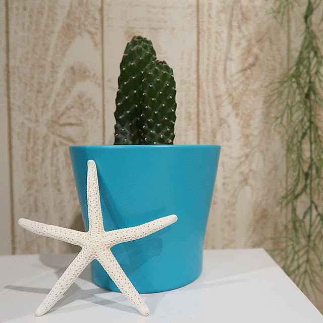 Ikea イケア 通販 Papaja パパヤ 鉢カバー ライトブルー C A のレビュー クチコミとして参考になる投稿2枚