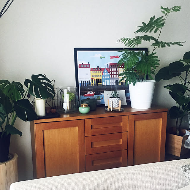 写真付きレビュー エバーフレッシュ 白色 丸型 陶器鉢 ネムの木 ネムノキ アカサヤネムノキ 陶器 鉢植え 鉢 苗 苗木 観葉植物 ネムノキ ホワイト 白 ラウンド 丸 丸形 丸鉢の通販商品 口コミ情報 Roomclipショッピング