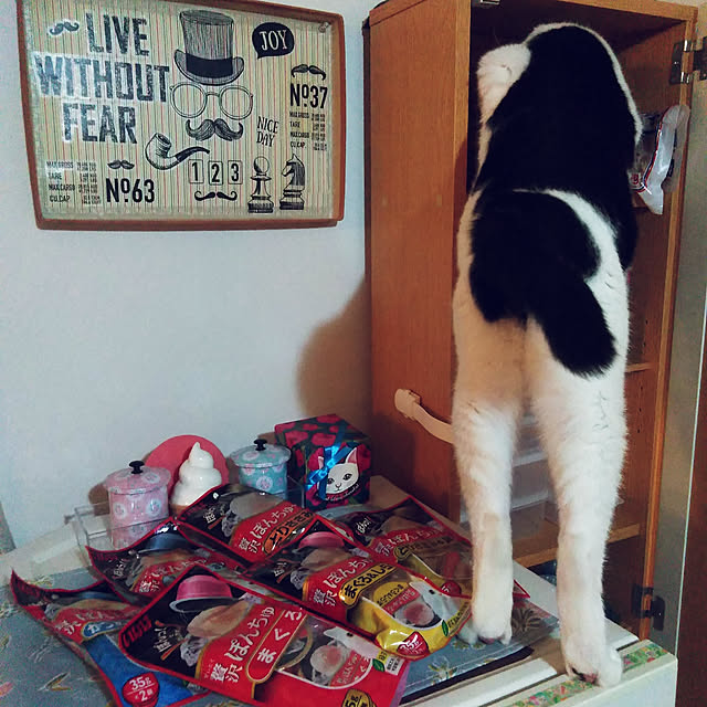 写真付きレビュー】いなば食品 いなば 贅沢ぽんちゅーる まぐろ&しらす 35gx2 TSC42の通販商品口コミ情報 | RoomClipショッピング 写真付きレビュー】いなば食品 いなば 贅沢ぽんちゅーる まぐろ&しらす 35gx2 TSC42の通販商品口コミ情報 | RoomClipショッピング