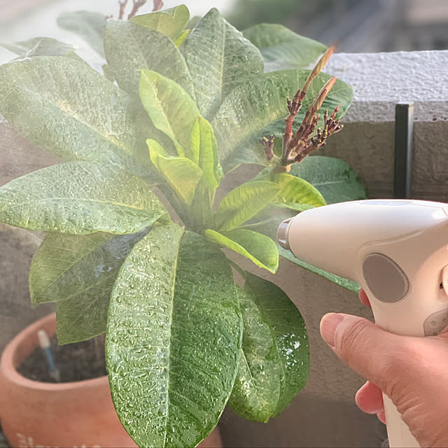 Perfin 噴霧器全自動霧吹きスプレー 電動式 霧吹き 細かい ジョウロ 容器 00ma電池内蔵 次亜塩素酸水 除草剤 園芸 水やり 農薬散布 掃除に最適 グリーン 使いやすい 噴霧器 日本語説明書付のレビュー クチコミとして参考になる投稿1枚