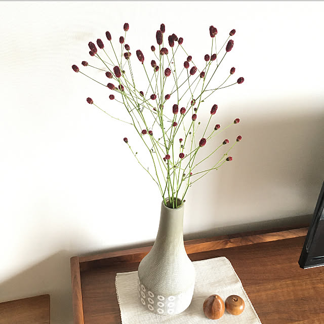 お花のある暮らし フラワーベース ワレモコウ われもこう 吾木香 などのインテリア実例 09 02 13 24 33 Roomclip ルームクリップ