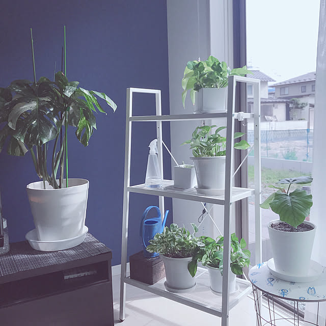 ガーデンラック プランタースタンド 4段 幅60cm Hbr 4 r 4 ダークブラウン ホワイト バルコニーラック プランターラック フラワースタンド スチールラック フラワーラック 山善 Yamazen 送料無料 のレビュー クチコミとして参考になる投稿13枚 ガーデンラック プランタースタンド 4段 幅60cm Hbr 4 r 4 ダークブラウン ホワイト バルコニーラック プランターラック フラワースタンド スチールラック フラワーラック 山善 Yamazen 送料無料 のレビュー クチコミとして参考になる投稿13枚