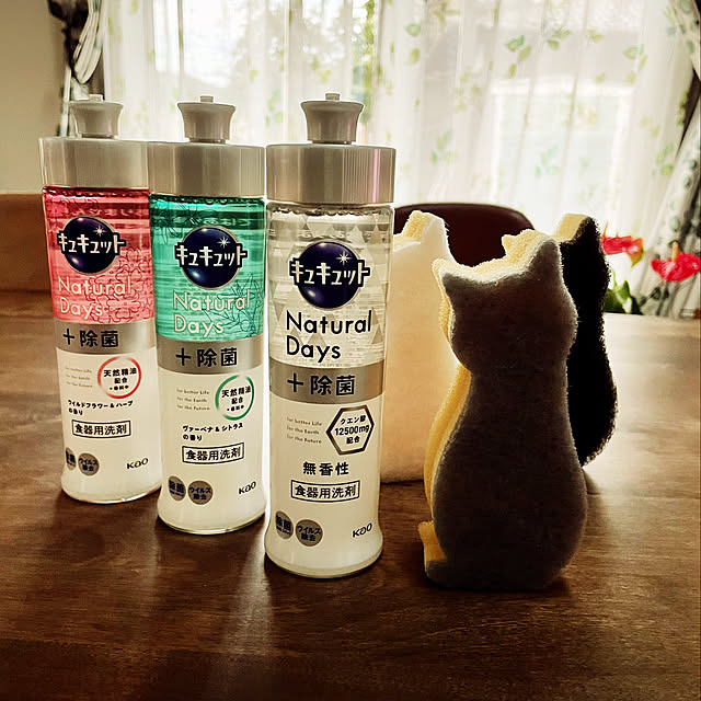 写真付きレビュー】ワイズ CARAful抗菌ソフトキッチンスポンジ ねこ3個組の通販商品口コミ情報 | RoomClipショッピング 写真付きレビュー】ワイズ CARAful抗菌ソフトキッチンスポンジ ねこ3個組の通販商品口コミ情報 | RoomClipショッピング