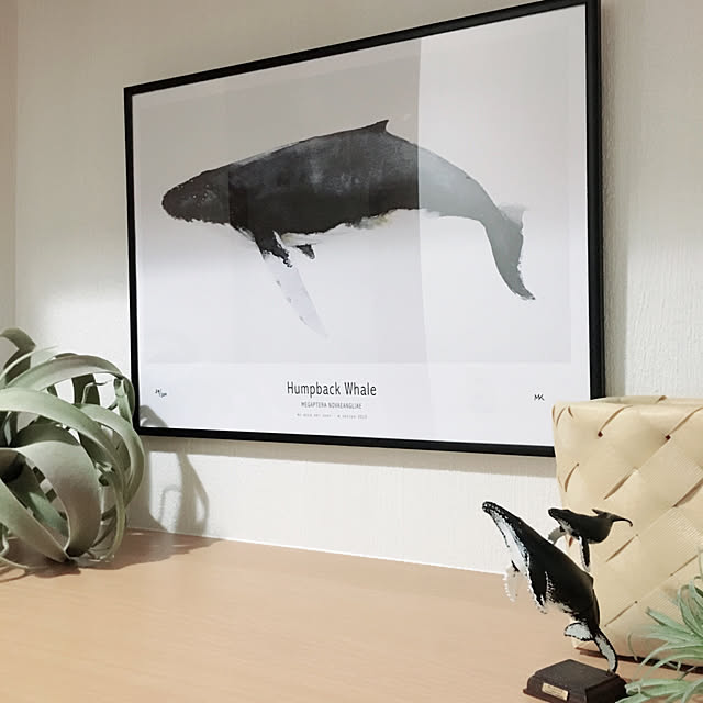 My Deer Art Shop ポスター アートプリント 50 70cm Humpback Whale 北欧雑貨 子供部屋 キッズ オランダ イラスト インテリア おしゃれ 壁掛け 絵画 パネル モダン モノクロ モノトーン のレビュー クチコミとして参考になる投稿2枚