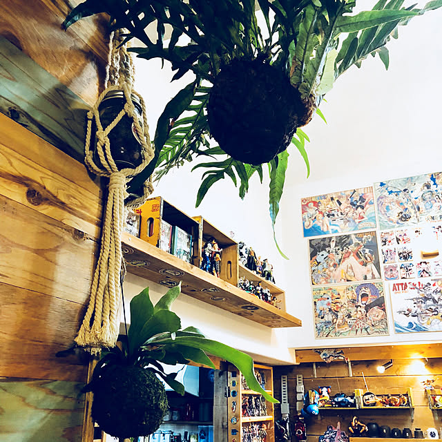 ワンピース King Of Artist The Portgas D Ace エース アニメ フィギュア プライズ バンプレストのレビュー クチコミとして参考になる投稿24枚 Roomclip Item