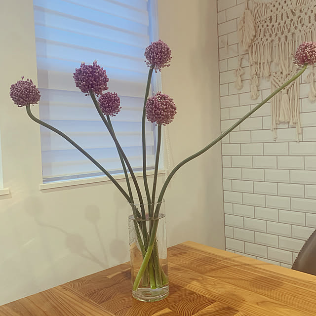 Splenno スプレンノ 花瓶 おしゃれ 透明 大型 ガラス ガラス花瓶 フラワーベース 花器 シリンダー 円柱 Vase 30cm 10x30 のレビュー 口コミとして参考になる投稿16枚