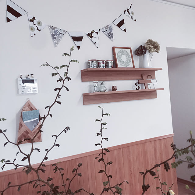 写真付きレビュー】(観葉植物)メルヘンの木 ソフォラ リトルベイビー 3号(1ポット)の通販商品口コミ情報 | RoomClipショッピング 写真付きレビュー】(観葉植物)メルヘンの木 ソフォラ リトルベイビー 3号(1ポット)の通販商品口コミ情報 | RoomClipショッピング